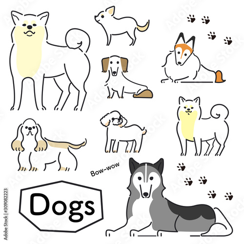犬　ポーズ　表情　セット