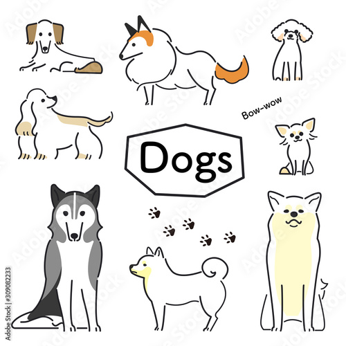 犬　ポーズ　表情　セット