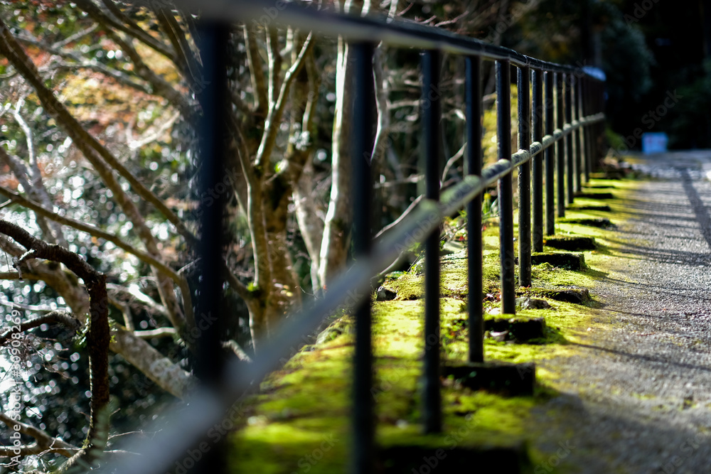 selective focus metal fence near the forest. selective focus metal fence near the forest.