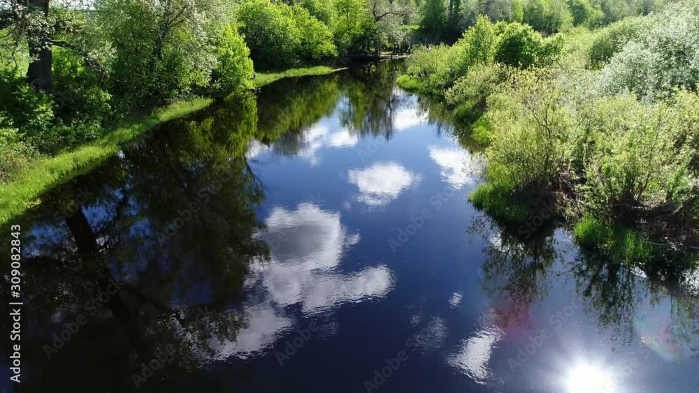 Beautiful view of forest swamplands surrounded by green field with stunning landscape cinematic views. Concept climate outdoor nature. Beautiful view of forest swamplands surrounded by green field with stunning landscape cinematic views. Concept climate outdoor nature.