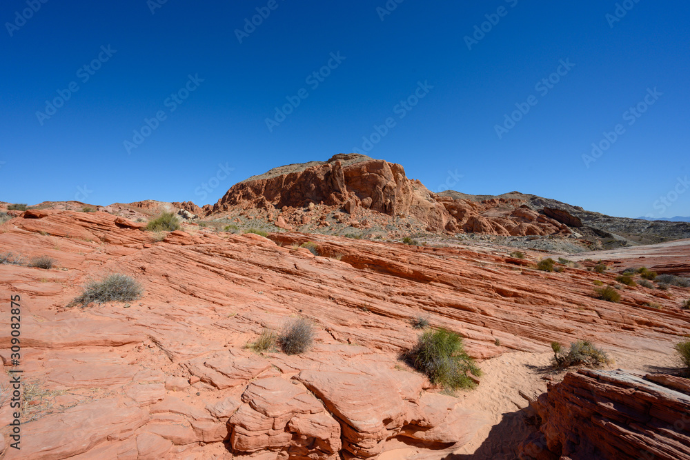 Classic Sandstone Scene in Nevada