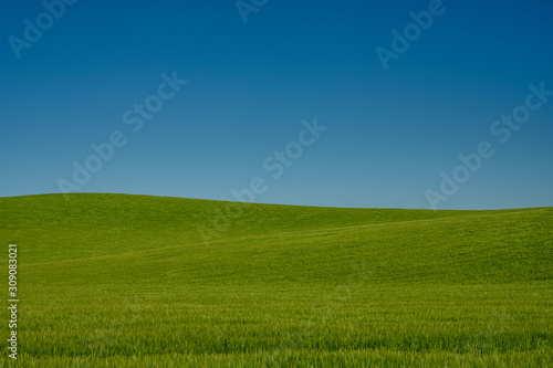 Converging Hills Of Grass © kellyvandellen