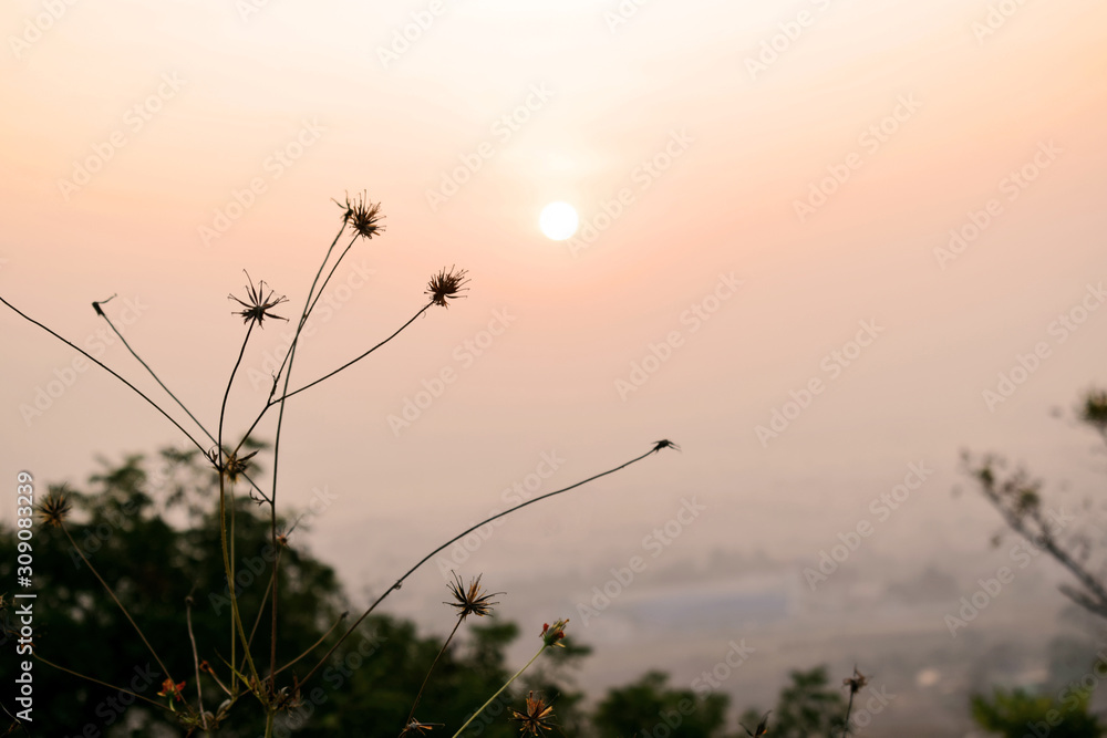Obraz premium Landscape photo of morning sky