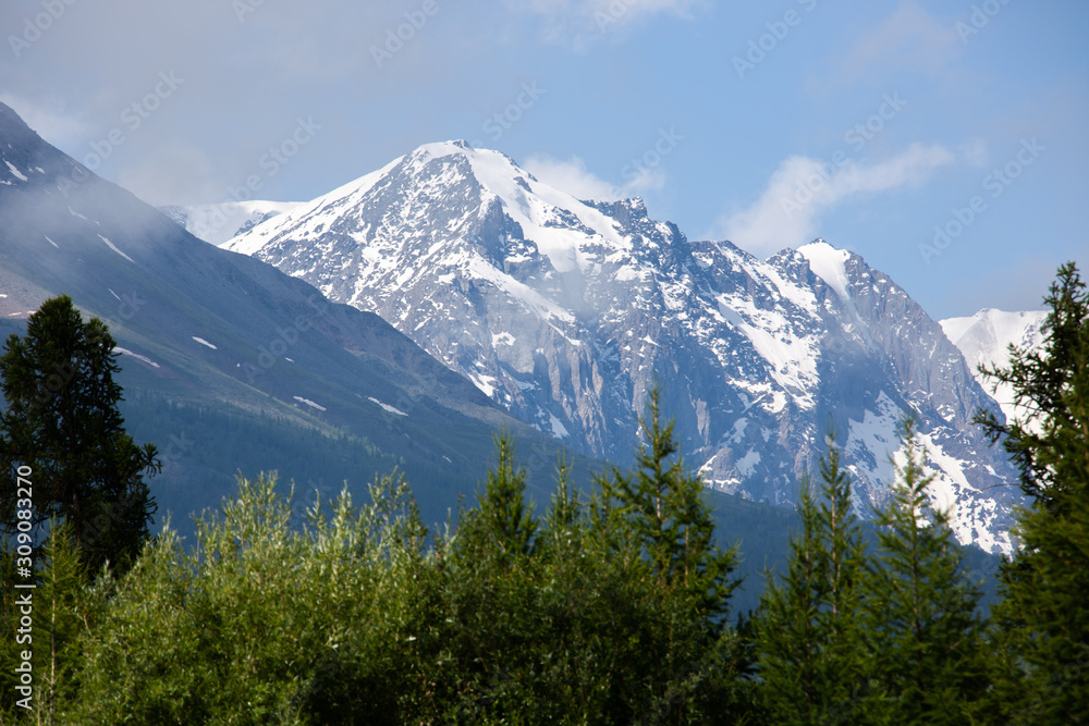 altai snow mountain and steppe forest