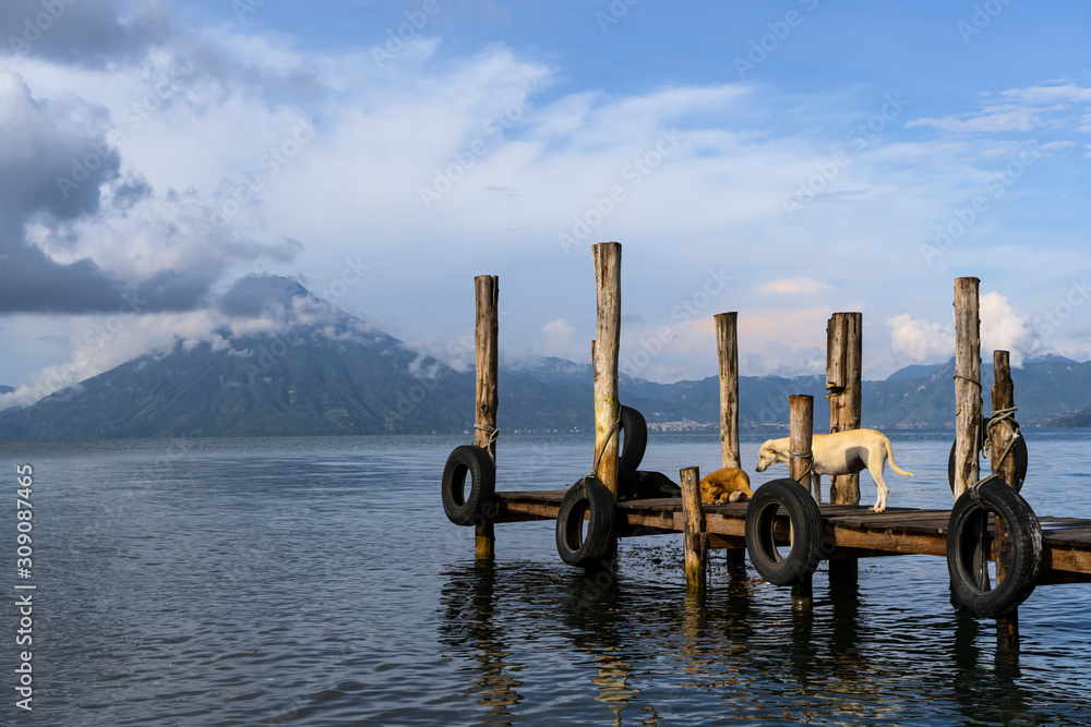 Hay varios perros callejeros sobre un embarcadero en el lago Atitlán. Hay varios perros callejeros sobre un embarcadero en el lago Atitlán.