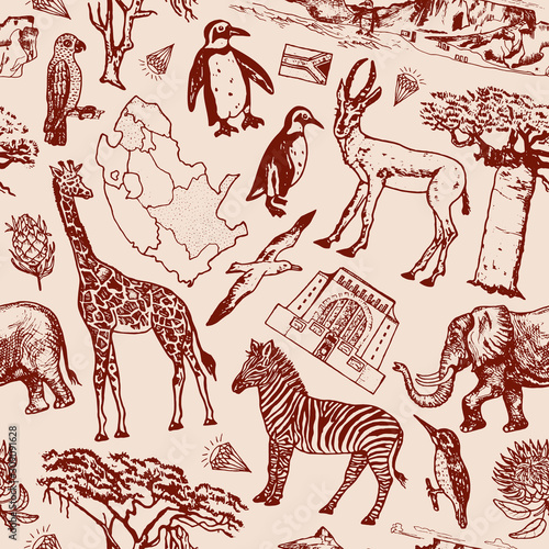 Africa doodle vintage Seamless pattern background. Wild animals in safari isolated on white background. Giraffe and zebra, map and birds. Hand drawn sketch.