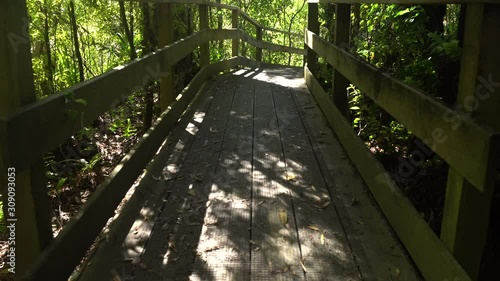 A Bridge on a New Zealand walking trail in Kaitoke amongst native bush sliding from right to left photo