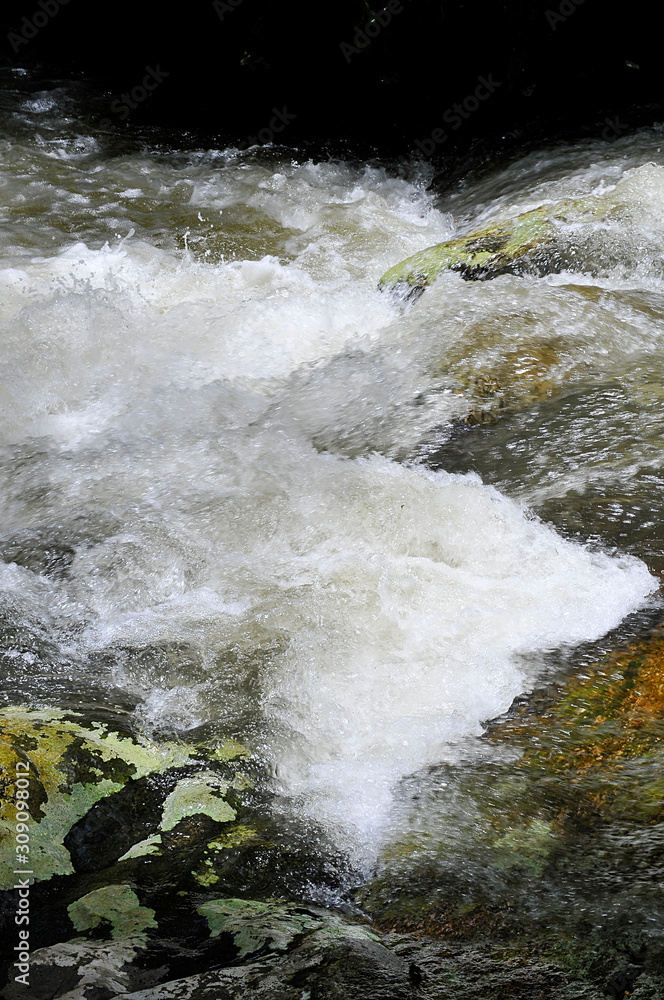 River current - Ilhabela River current - Ilhabela