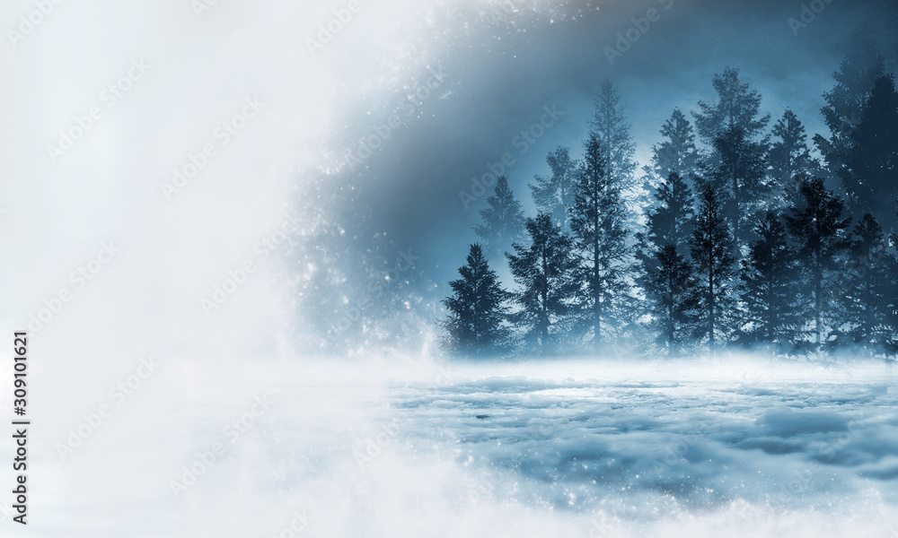Winter abstract landscape. Sunlight in the winter forest. Winter abstract landscape. Sunlight in the winter forest.