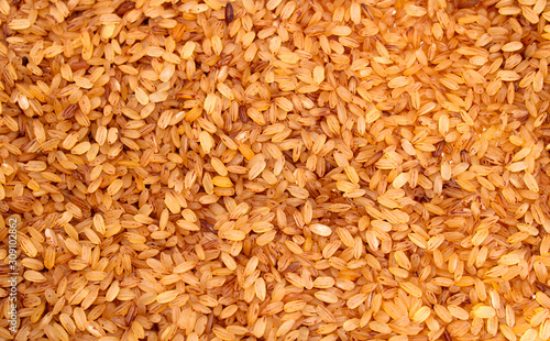 Close up Rice devzira Red with white background 