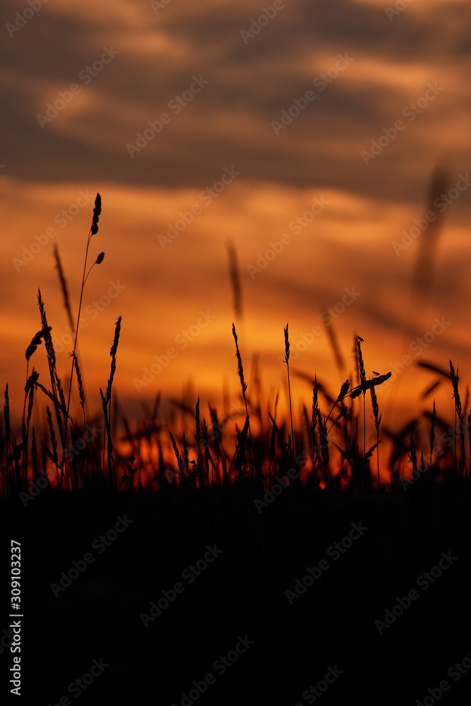 Country sunset with orange tones in the sky