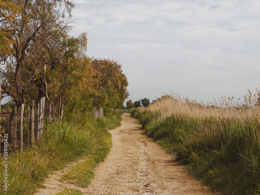 Paysage de Camargue. Sentier thématique