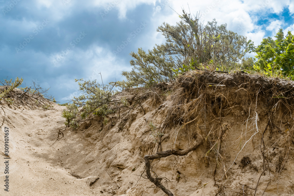 Abstract nature background with green plants and sand pathway in stormy day as wind blows in dunes along North Sea coast near the Hague in the Netherlands. Abstract nature background with green plants and sand pathway in stormy day as wind blows in dunes along North Sea coast near the Hague in the Netherlands.