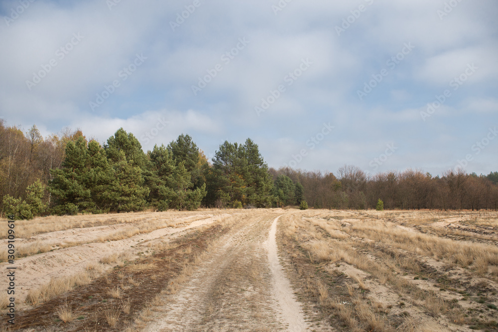 Fototapeta premium Autumn countryside landscape in fields and meadow. Lake
