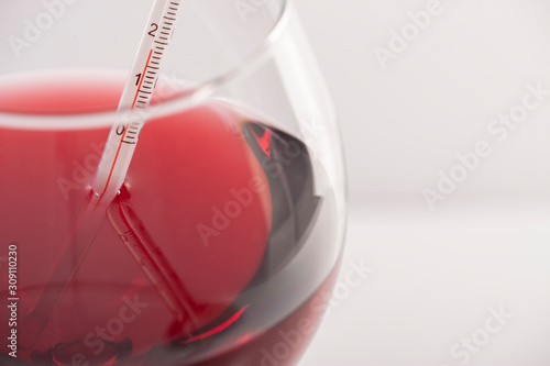 Measuring Red Wine Temperature with a Wine Thermometer