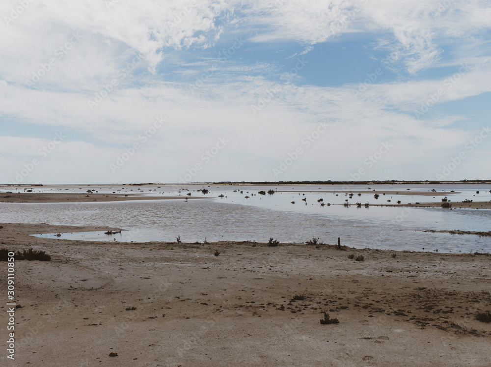 Sous le ciel bleu de Camargue. Entre mer, lagunes et étangs saumâtres