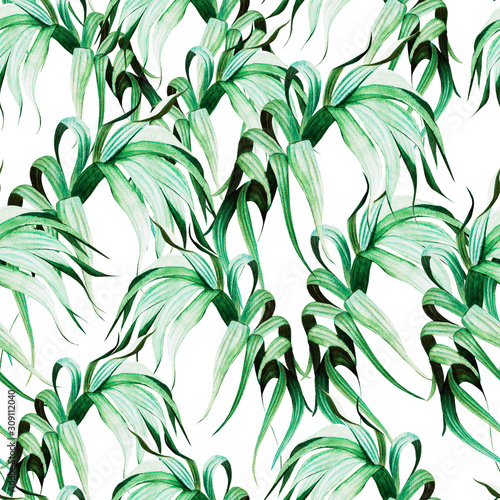 Beautiful watercolor seamless pattern with tropical leaves. 