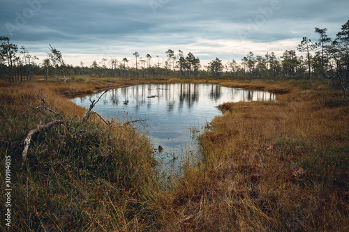 The Landscape Around The Great Bog Trail of Kemeri National Park, Latvia