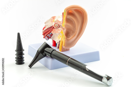 ENT or otolaryngology appointment, deafness prevention and hearing organ health concept with anatomical ear model and medical device used to check the ears (otoscope) isolated on white background photo