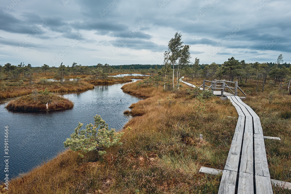 The Landscape Around The Great Bog Trail of Kemeri National Park, Latvia
