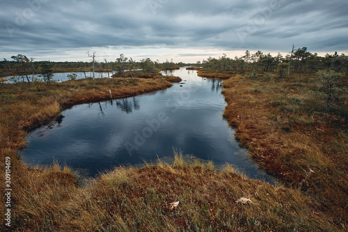 Fototapeta Naklejka Na Ścianę i Meble -  The Landscape Around The Great Bog Trail of Kemeri National Park, Latvia