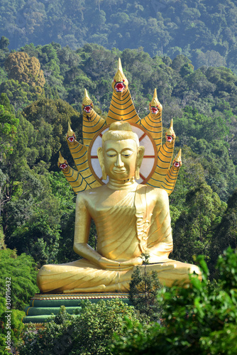 Golden Giant Buddha - Wat Bang Riang  Wat Rat Upathamin  temple in Khao Lan mountains of Phang Nga Province  Thailand