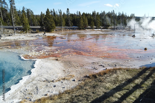 Steaming grounds at boardwalk tour in Yellowstone National Park, Wyoming