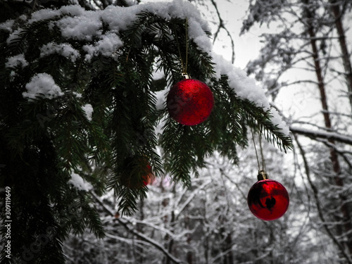 Close up of red Christmas balls in winter forest.
