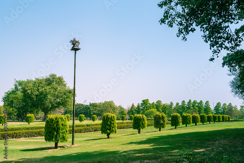 A row of green trees and hedges in a beautiful lawn with blue sky background in a historical monument in Delhi known as Purana Qila or Quila. Scenic green landscape on a sunny summer morning. photo