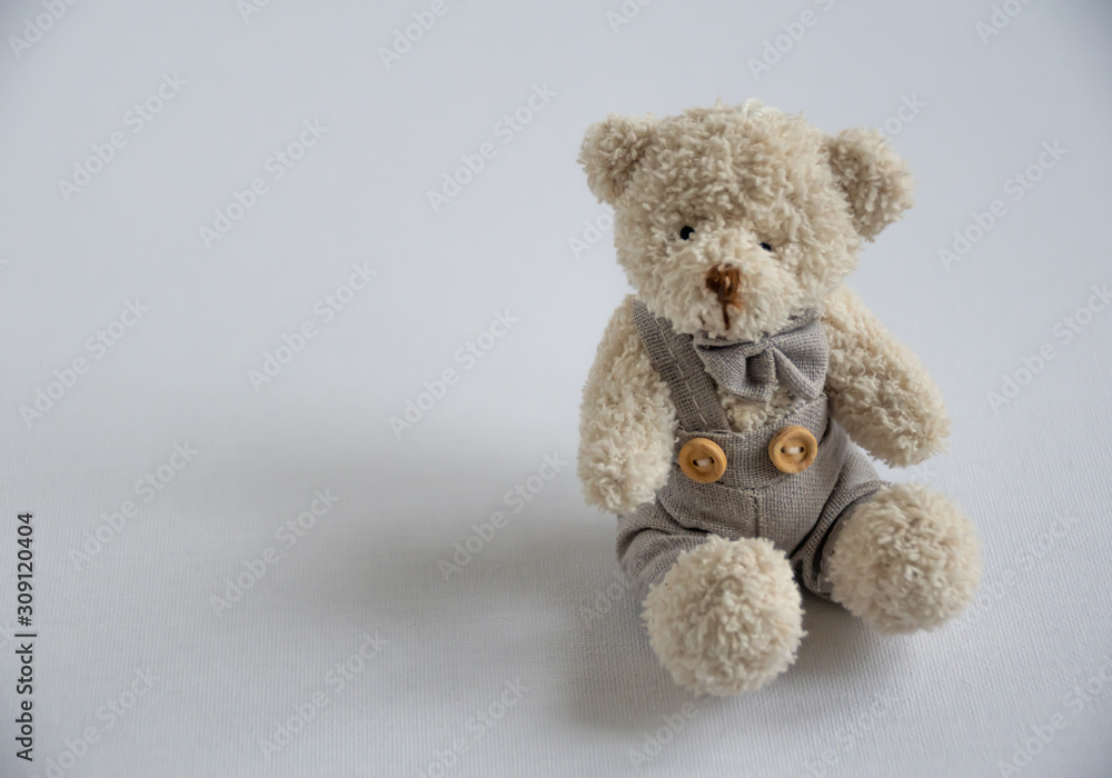 Obraz premium teddy bear on white background