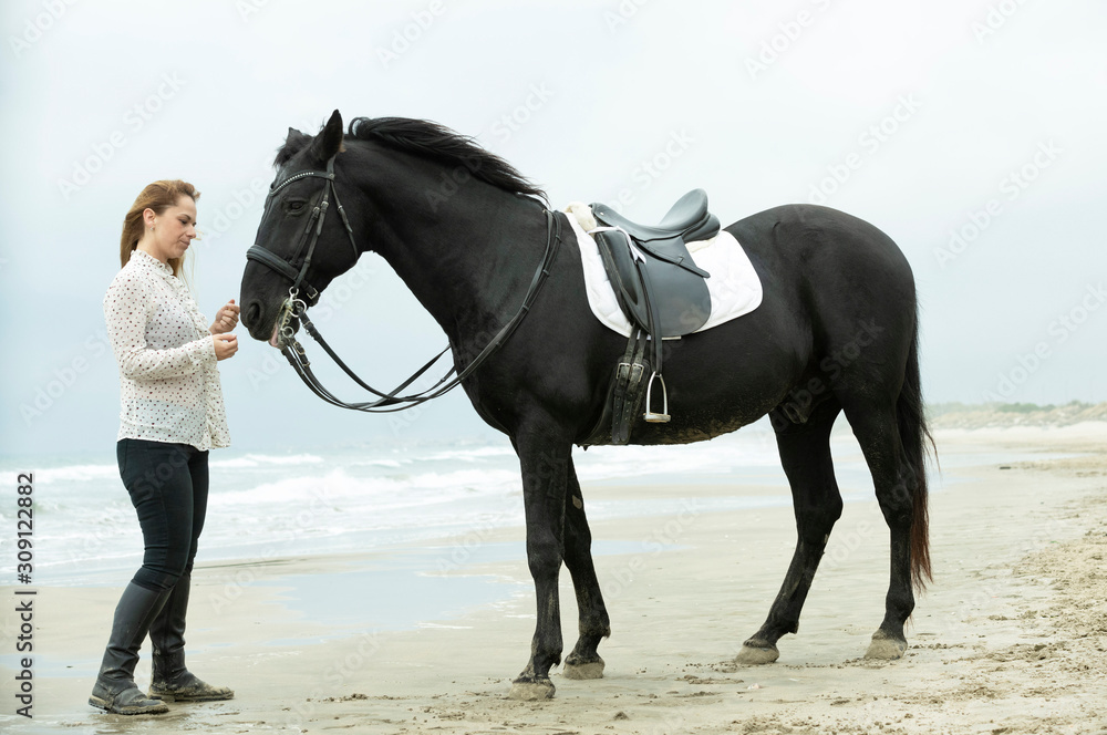 riding girl and horse riding girl and horse
