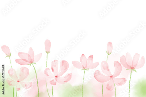 pink blooming watercolor cosmos field background with copy space eps10 vectors illustration