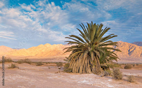 Sandy desert area in nature reserve and ecological ancient park - Evrona, it is located 5 km north of tourist resort city of Eilat, Israel 