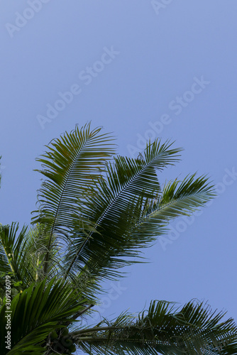 Siem Reap Cambodia