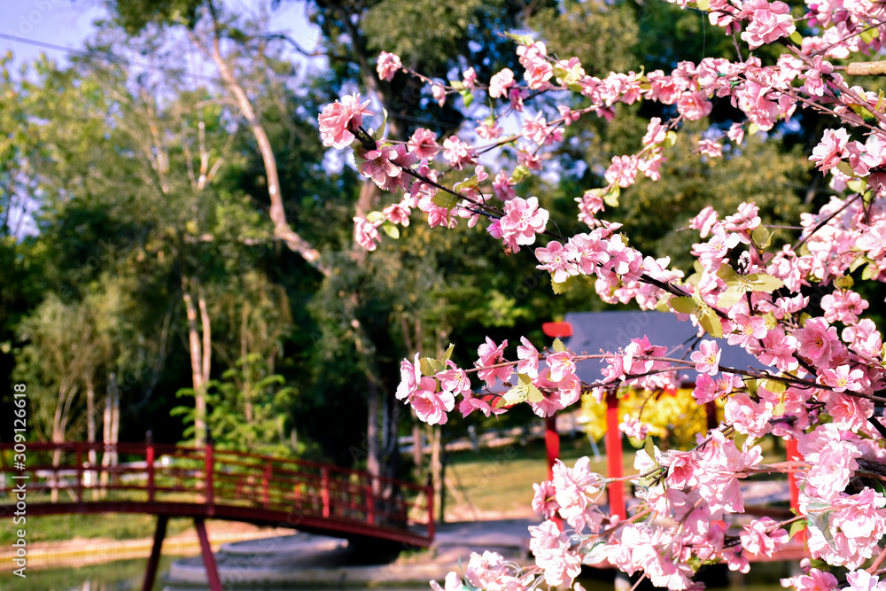 outdoor beauty artificial flowers flora spring nature flower background pink sakura cherry blossom design in garden park giving a romantic and fresh feeling. outdoor beauty artificial flowers flora spring nature flower background pink sakura cherry blossom design in garden park giving a romantic and fresh feeling.