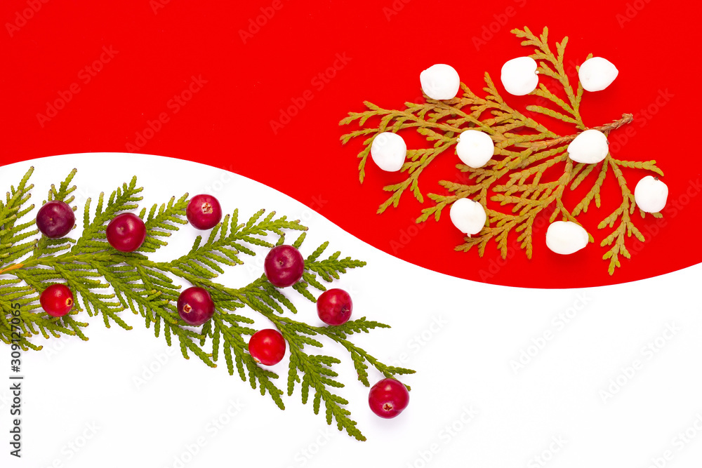 Red and white. Background of berries. Abstraction. Creative. Red Christmas background with ornament decoration. Christmas composition. Concept. Colorful diet and healthy food concept. Copy space.