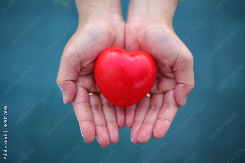 Hands holding a red heart on the water background. Hands holding a red heart on the water background.