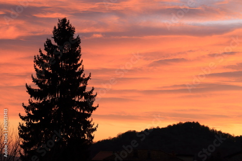 Veduta con i colori del tramonto  pino in primo piano  nuvole e dominante arancione