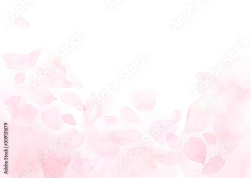 Fototapeta Naklejka Na Ścianę i Meble -  ふわふわしたピンクの花びらの背景
