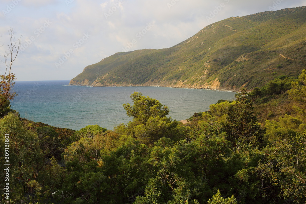 Baia all'Isola Elba con vegetazione, spiaggia e dominante color verde