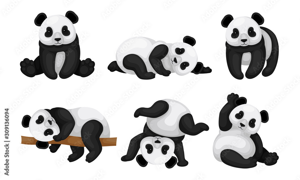 Panda Animal in Different Poses Vector Set. Bear Lying on the Tree and Turning Upside-down on the Ground Panda Animal in Different Poses Vector Set. Bear Lying on the Tree and Turning Upside-down on the Ground