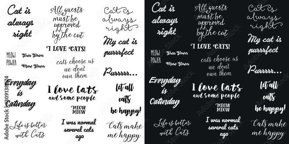 vector lettering. vector set phrases with different fonts about love for cats, about cats. Two image options - black and white background.