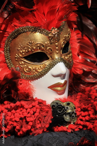 very beautiful mask and carnival makeup in Annecy