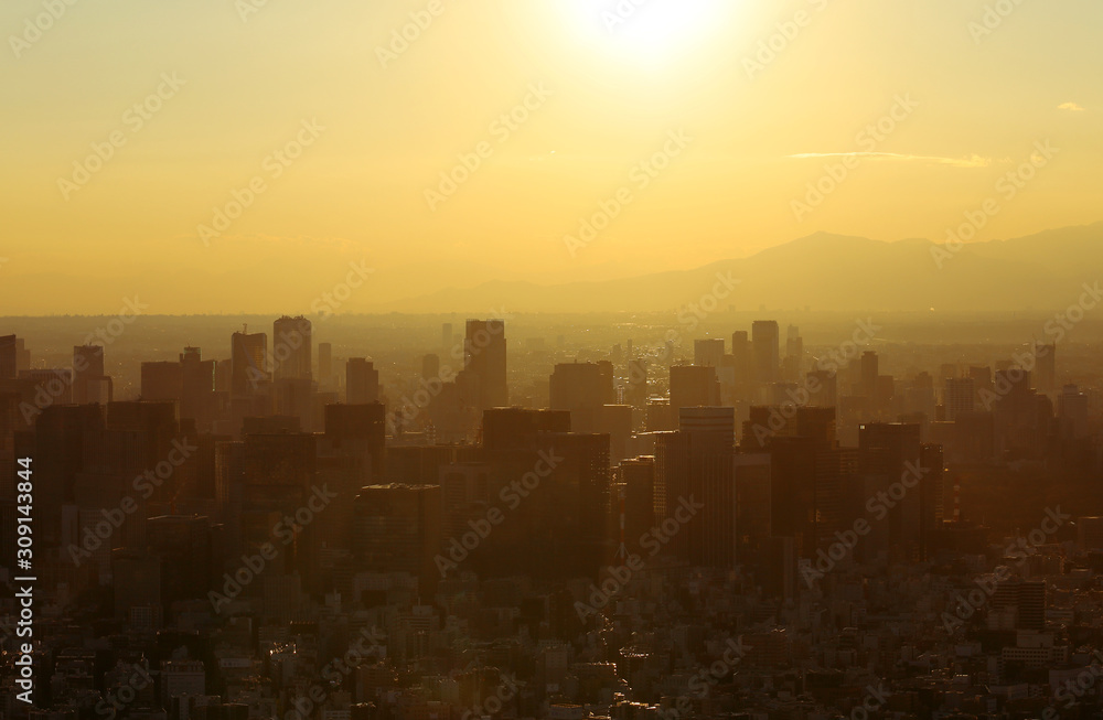 Beautiful city landscape of Tokyo city in the sunrise and à¸”aint fog, cover the wind.