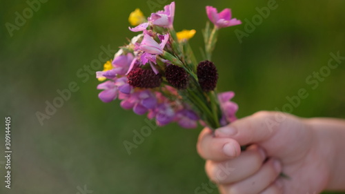 flowers in a child's hand