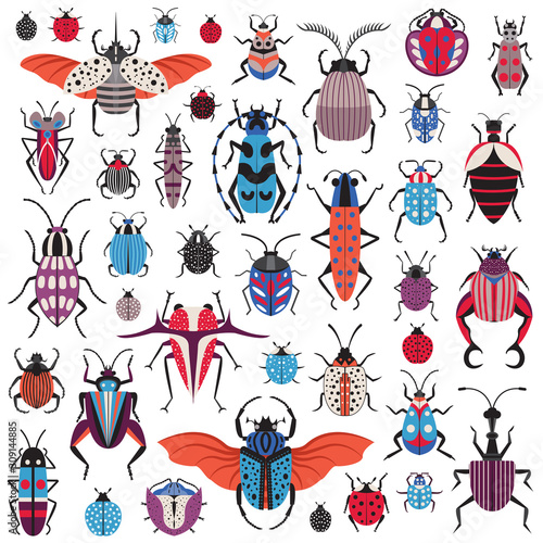 Unusual Bugs and Weird Beetle Species Icons