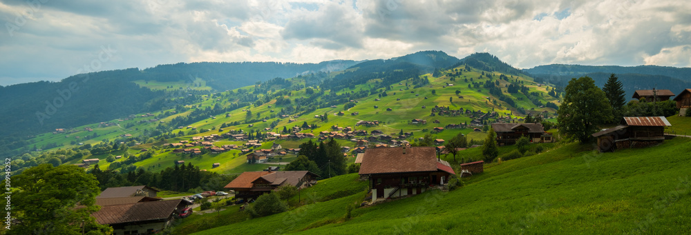 Summer time countryside panoramic landscape in Switzerland