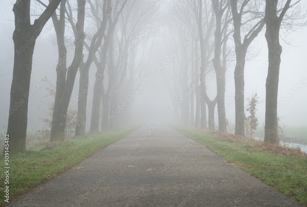 Obraz premium Empty, rural road on a foggy day in autumn.