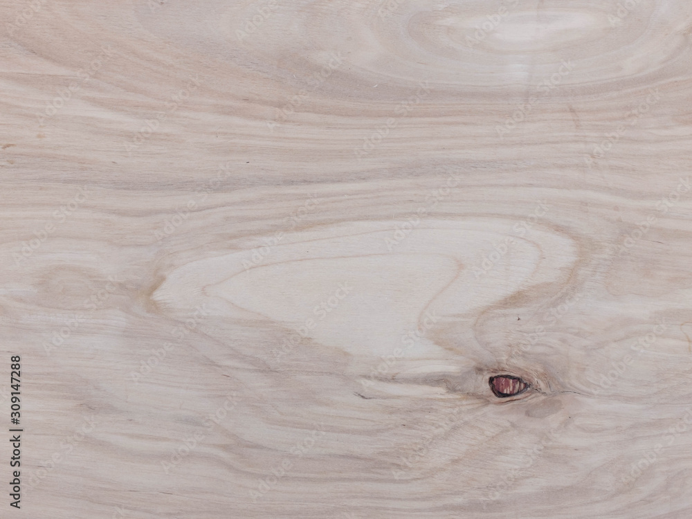 Plywood texture with rings and twig knots Plywood texture with rings and twig knots
