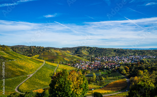 Germany, Stuttgart uhlbach houses, a village surrounded by beautiful colorful vineyards and forested hills in autumn season with blue sky